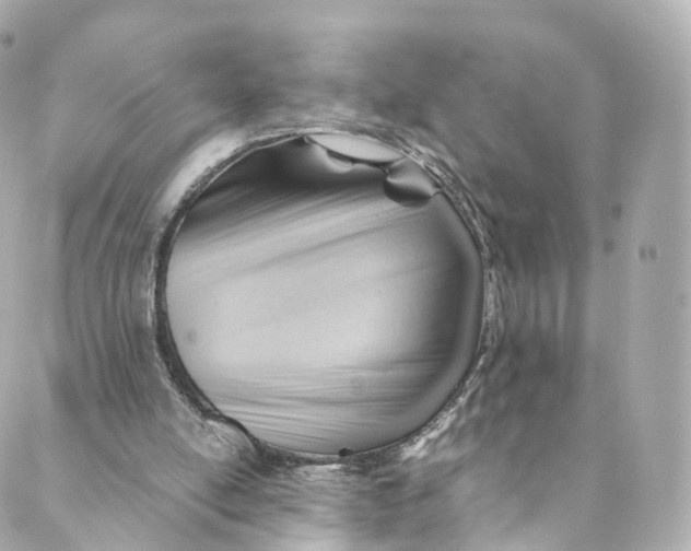 X0000088910054200706291539