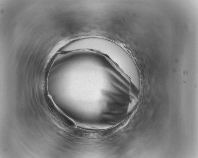 X0000088910056200706291539