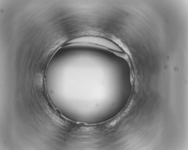 X0000088910057200706291540