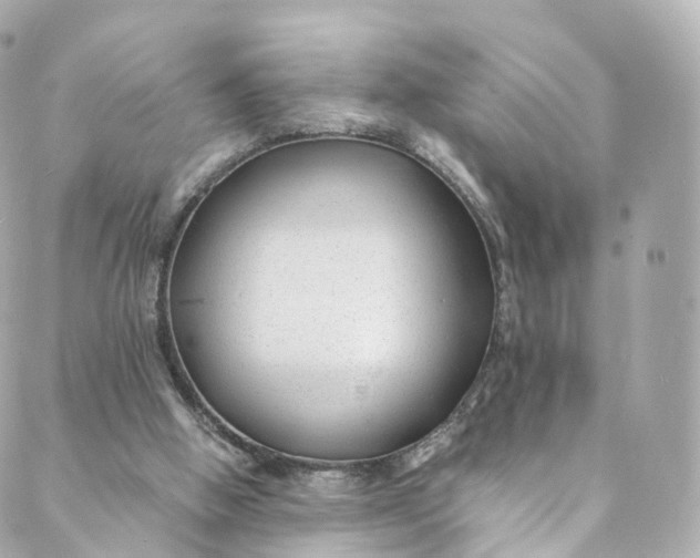 X0000088910058200706291540