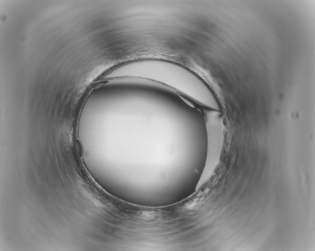 X0000088910060200706291540