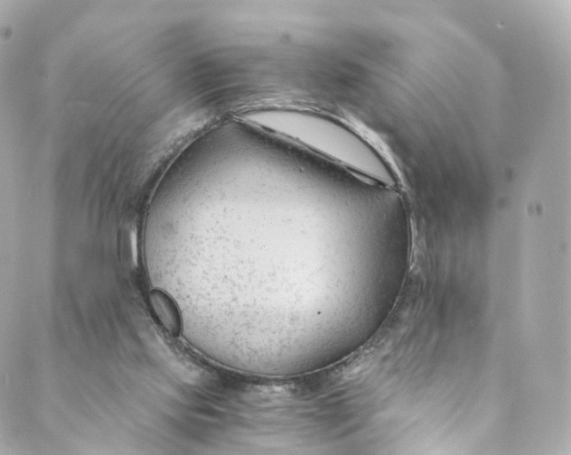 X0000088910061200706291540