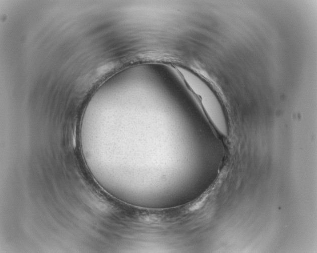 X0000088910062200706291540