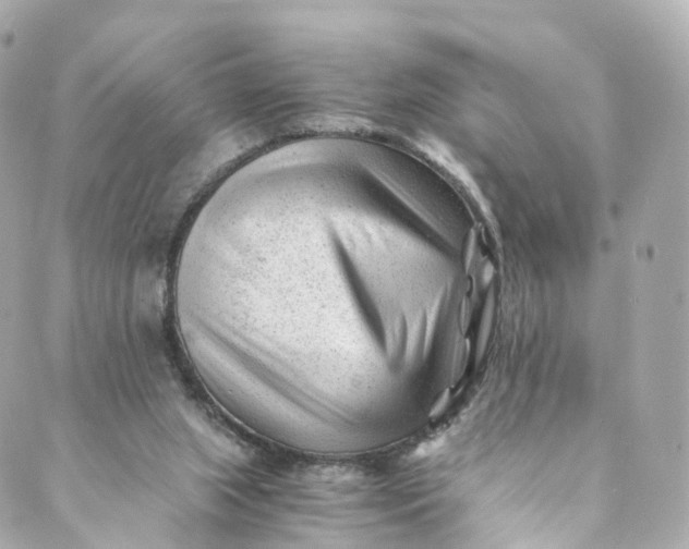 X0000088910063200706291540