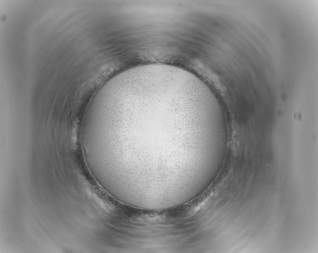 X0000088910065200706291540