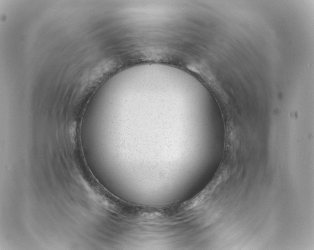 X0000088910066200706291540