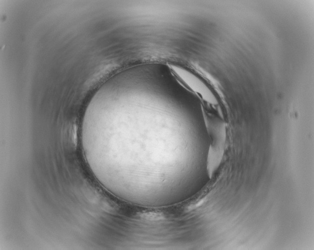 X0000088910067200706291540