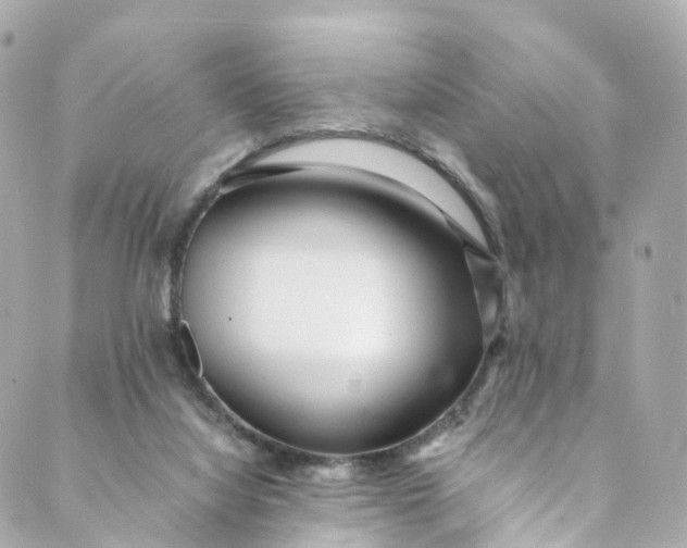 X0000088910068200706291540