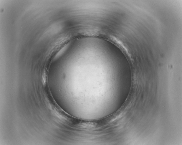 X0000088910069200706291540