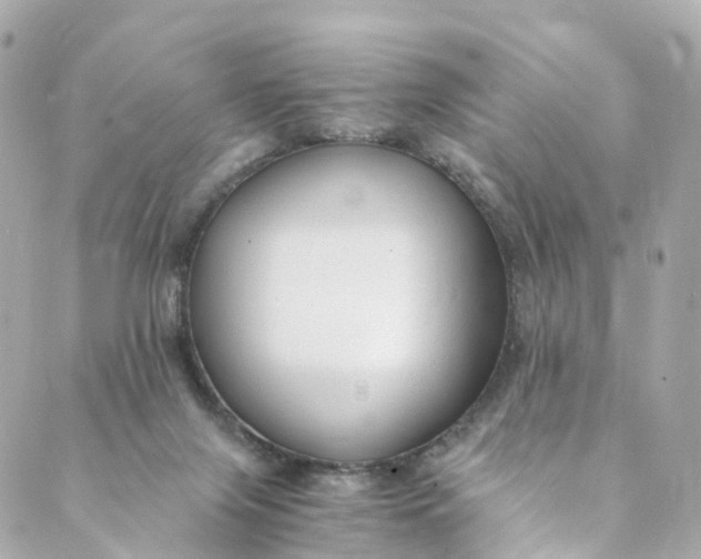 X0000088910071200706291540