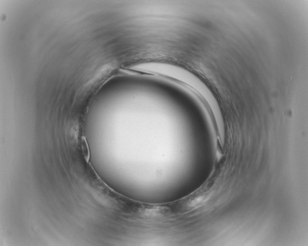 X0000088910072200706291540