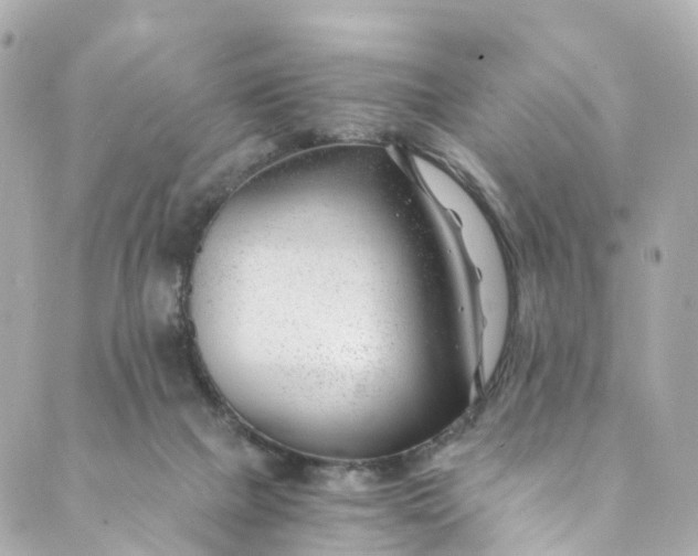 X0000088910073200706291540