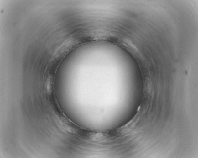 X0000088910074200706291540