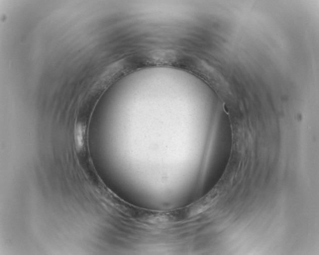 X0000088910075200706291540