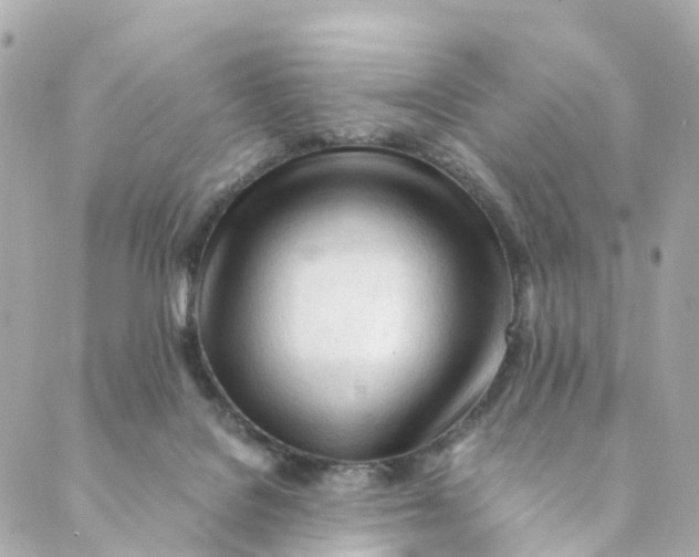 X0000088910076200706291540