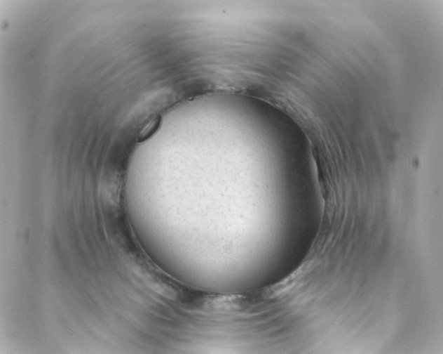 X0000088910078200706291540