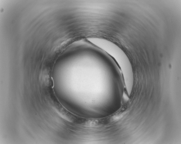 X0000088910080200706291540