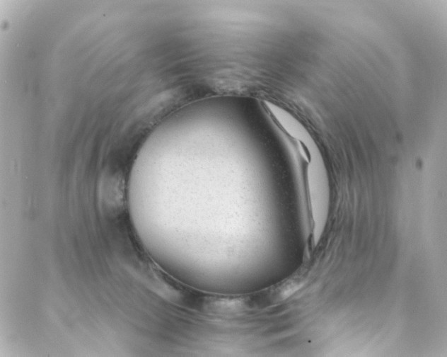 X0000088910081200706291540