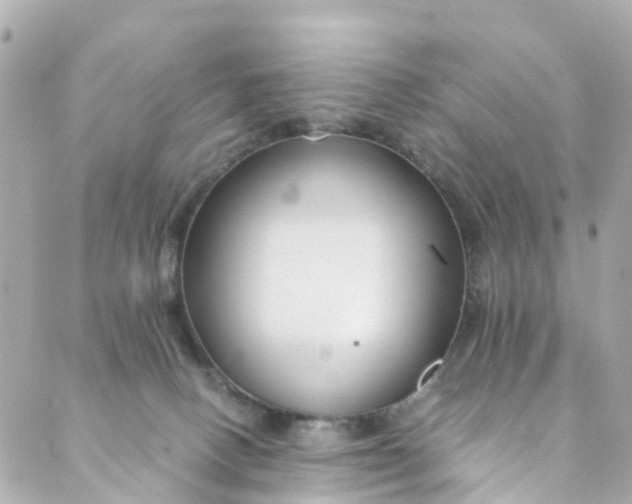 X0000088910082200706291540