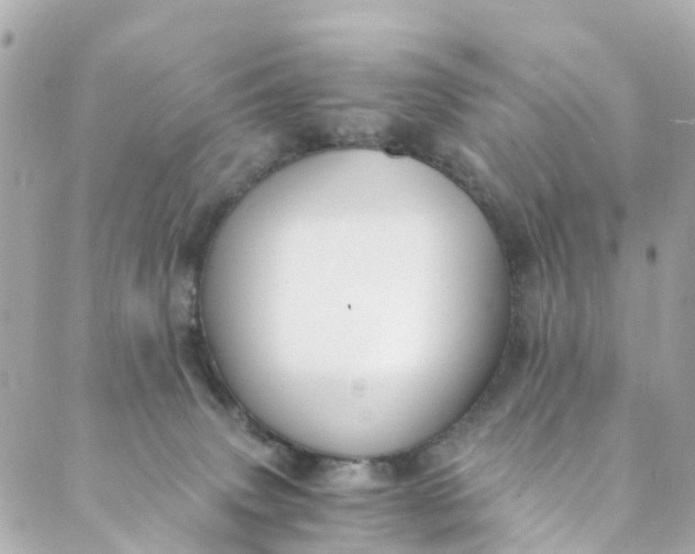 X0000088910083200706291540