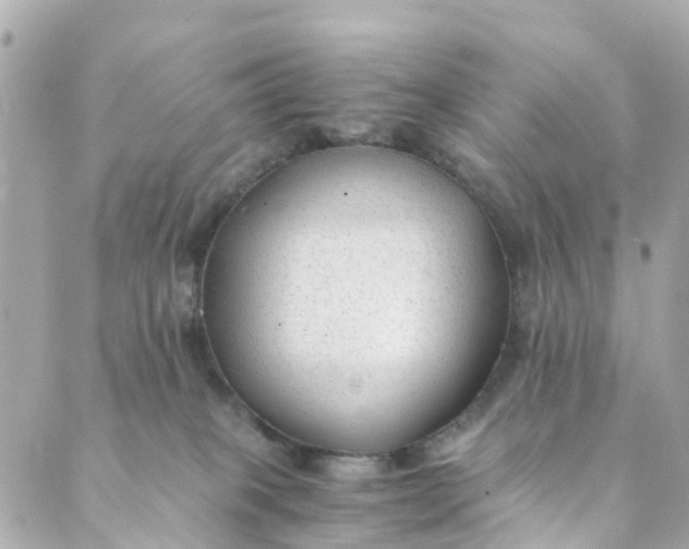 X0000088910085200706291540