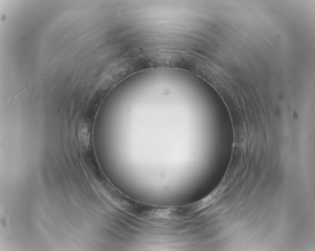 X0000088910086200706291540