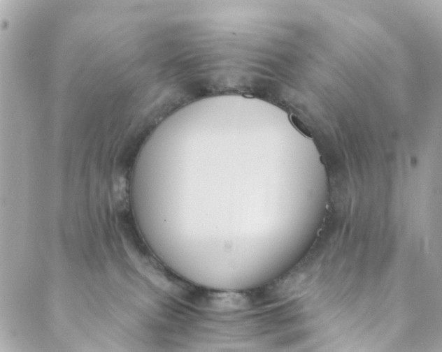 X0000088910087200706291540