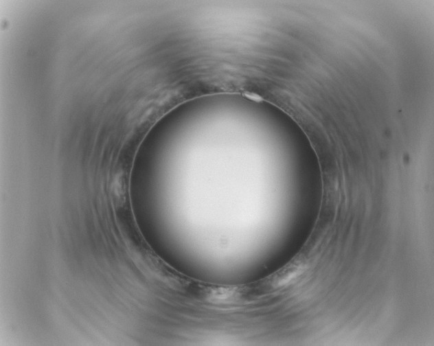 X0000088910088200706291540