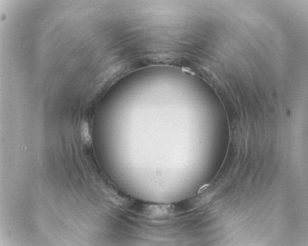 X0000088910089200706291540