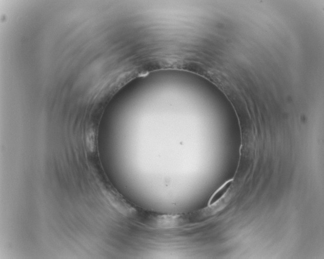 X0000088910090200706291540