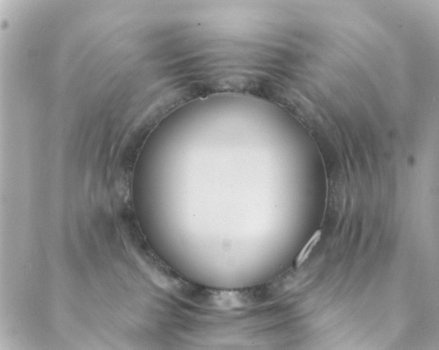 X0000088910091200706291540