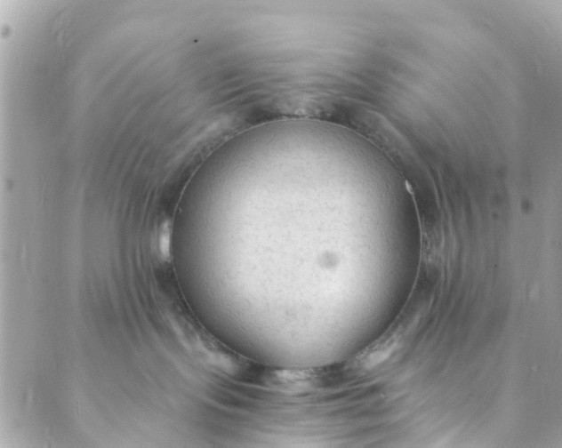 X0000088910095200706291540