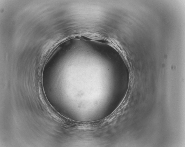 X0000088910097200706291539