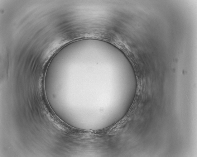 X0000088910098200706291539