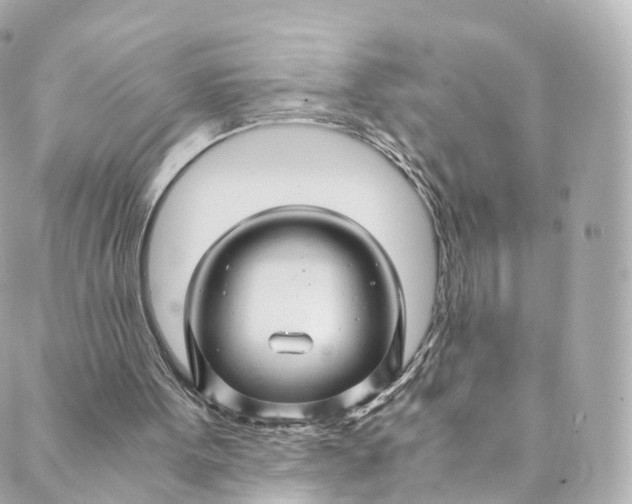 X0000088910099200706291539