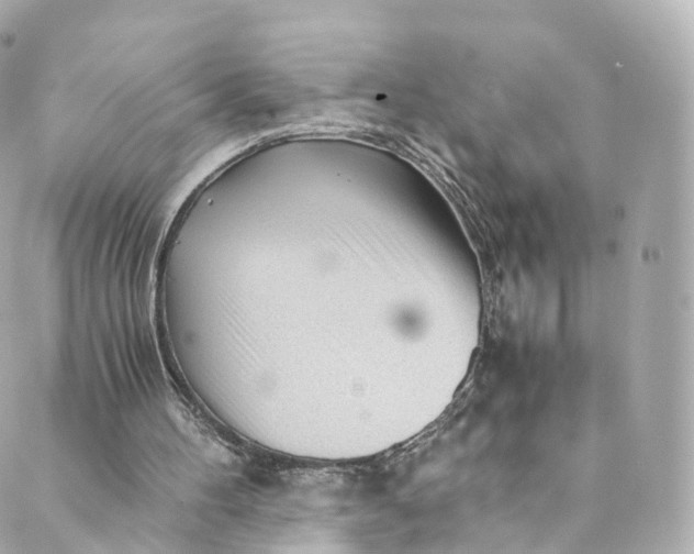 X0000088910100200706291539