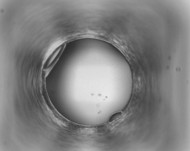 X0000088910102200706291539