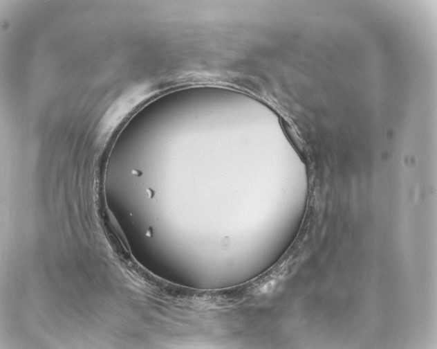 X0000088910103200706291539