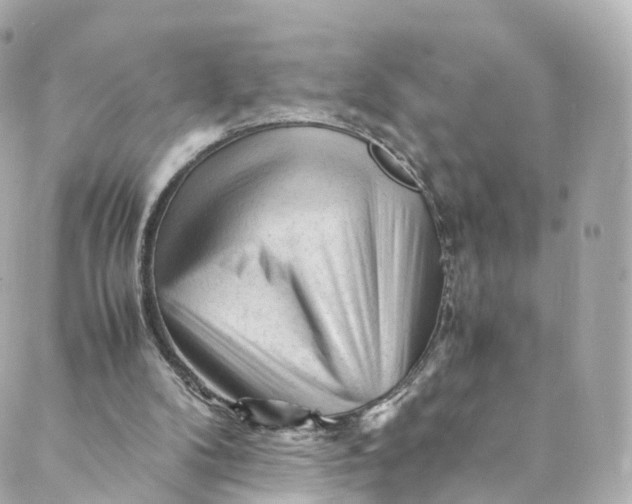 X0000088910104200706291539