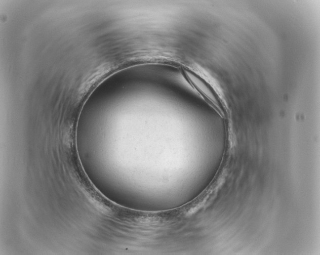 X0000088910105200706291539