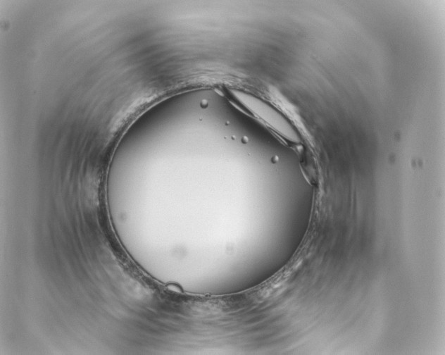 X0000088910106200706291539