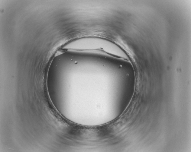 X0000088910107200706291539