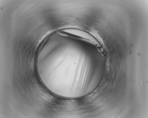 X0000088910108200706291539