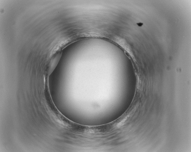 X0000088910109200706291539