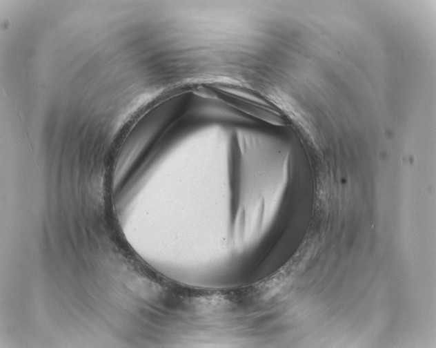 X0000088910112200706291539