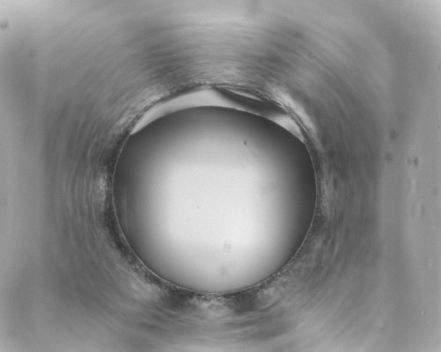 X0000088910113200706291539