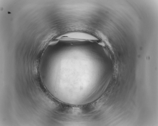 X0000088910114200706291539