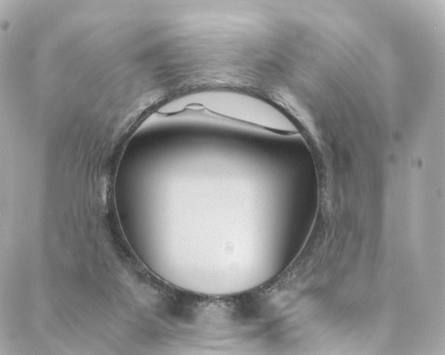 X0000088910115200706291539