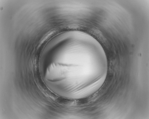 X0000088910116200706291539