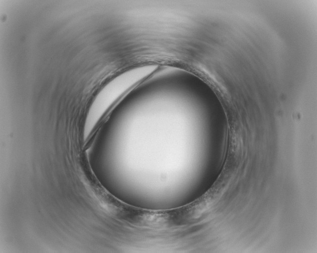 X0000088910117200706291539